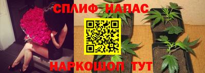 Альфа ПВП Ливны