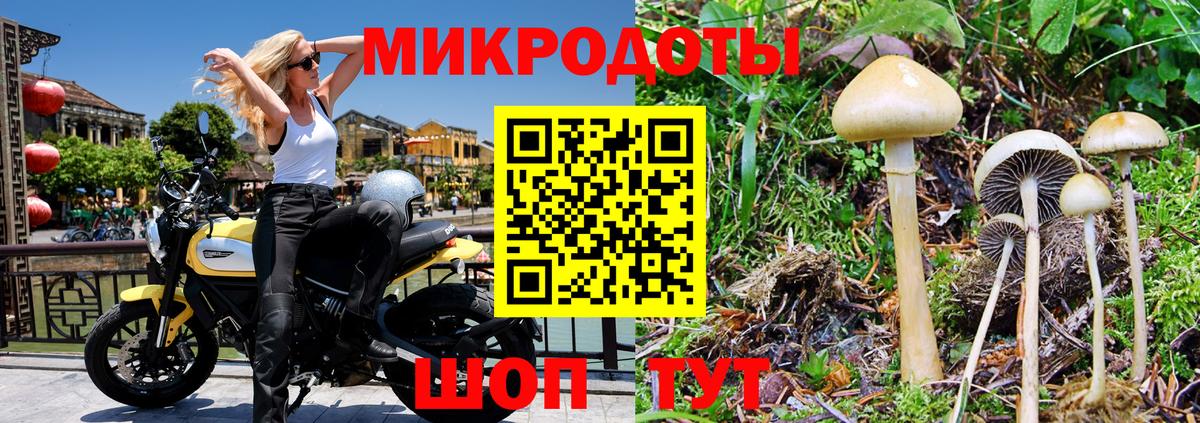 Псилоцибиновые грибы Cubensis Улан-Удэ